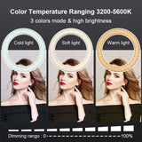 18 inch ring light