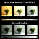 Soft Photo Lighting Kit