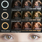 22" Ring Light Kit