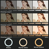 3-Color Ring Light