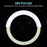 3-Color Ring Light