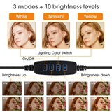FlexiLight 1.6M Ring Light