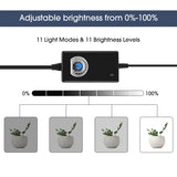 LED Photography Light Box